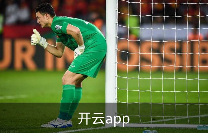 开云app概况